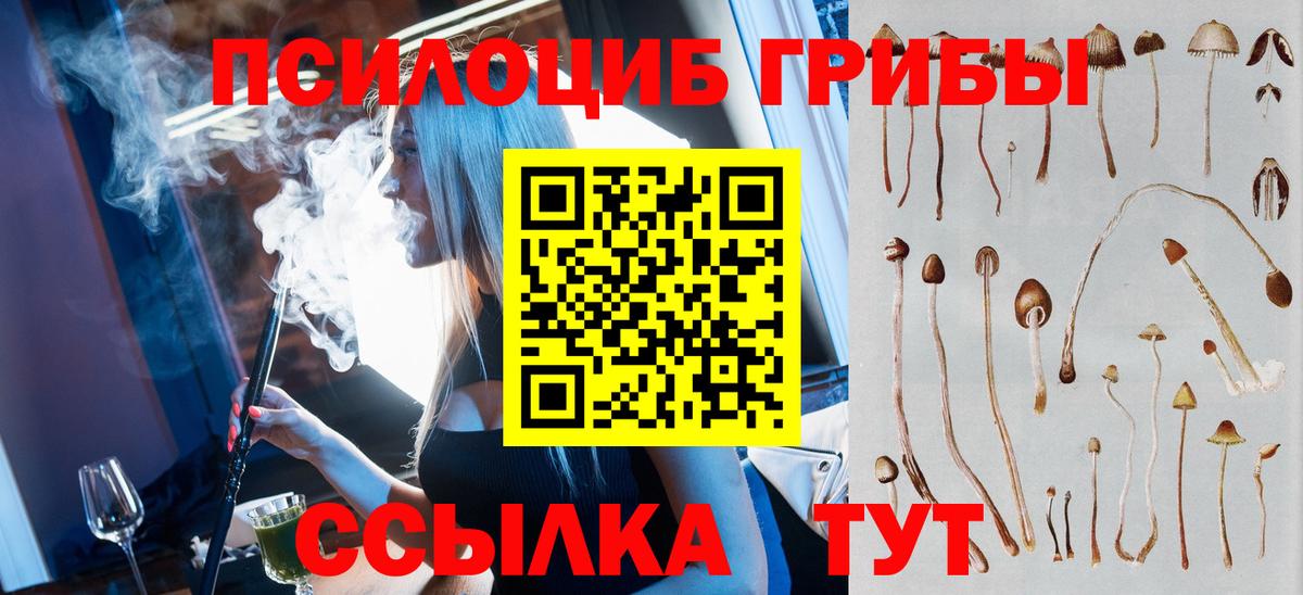 Южно-Сахалинск  Галлюциногенные грибы Cubensis  Вход с VPN 